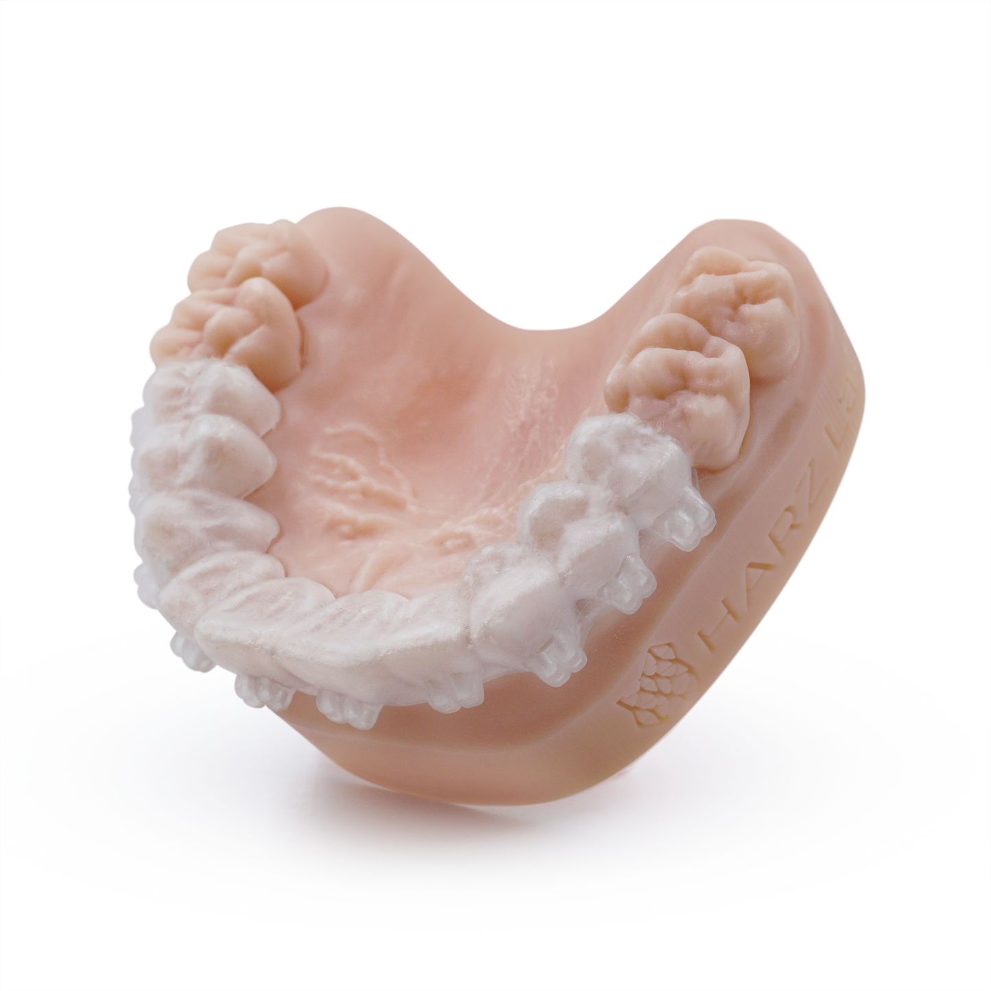 Resina Dental IBT