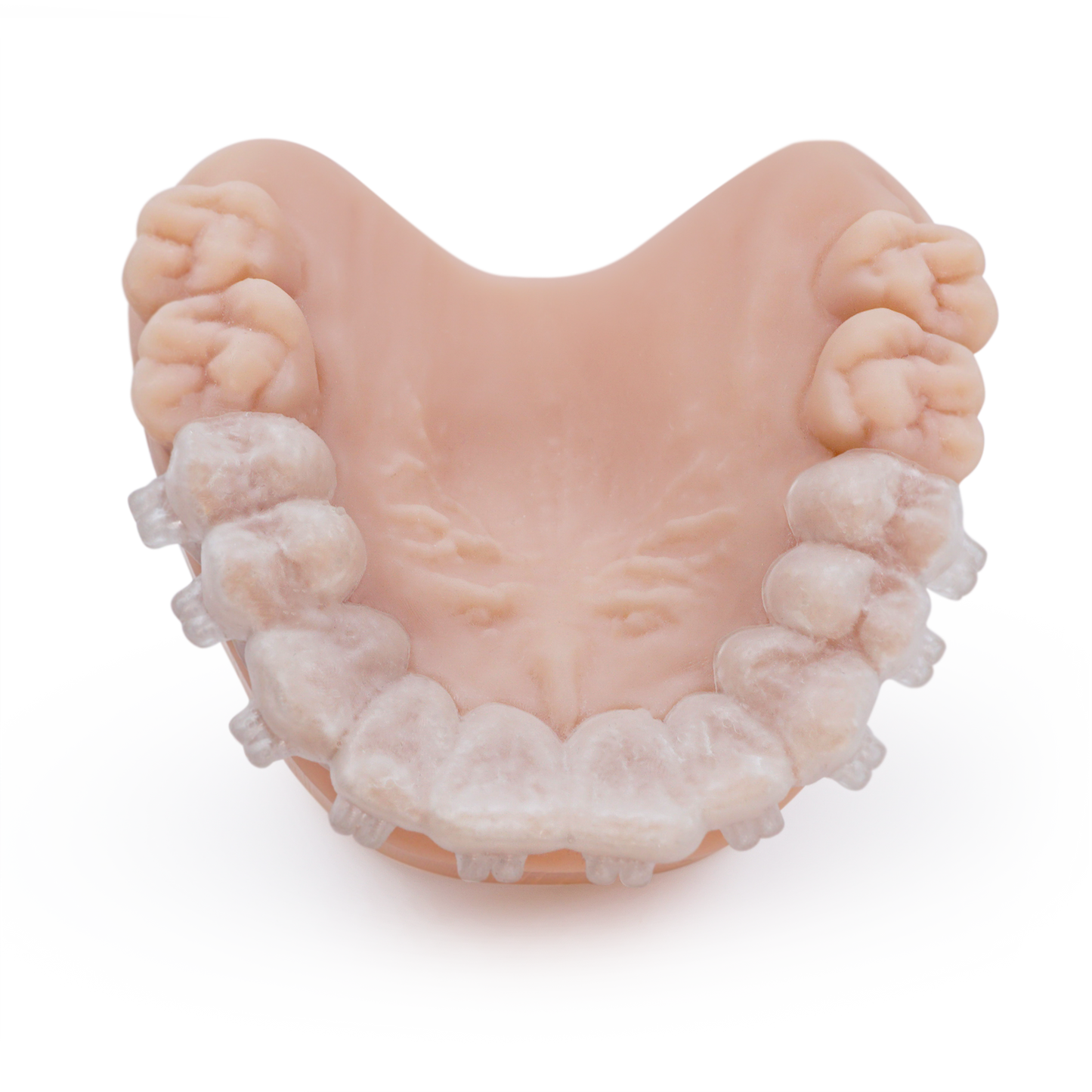 Resina Dental IBT