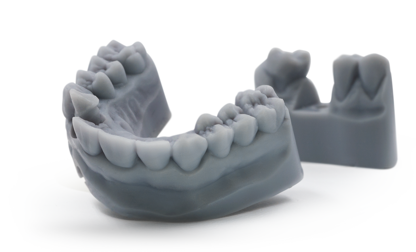 Dental Model Grey Light